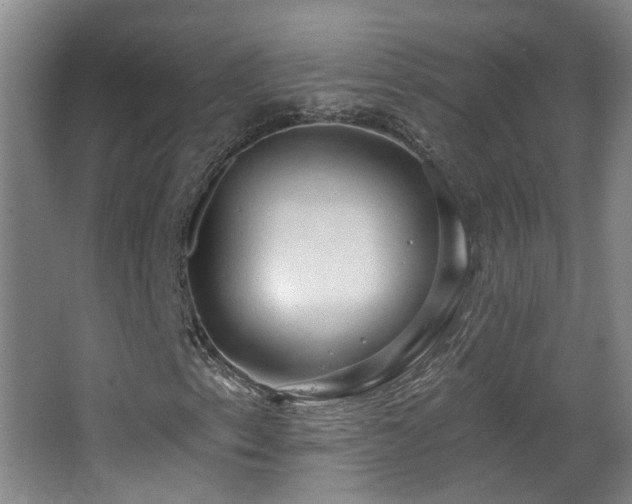 X0000063481153200601201236