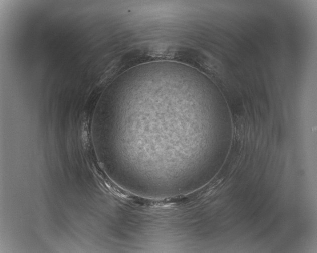 X0000063481154200601201236