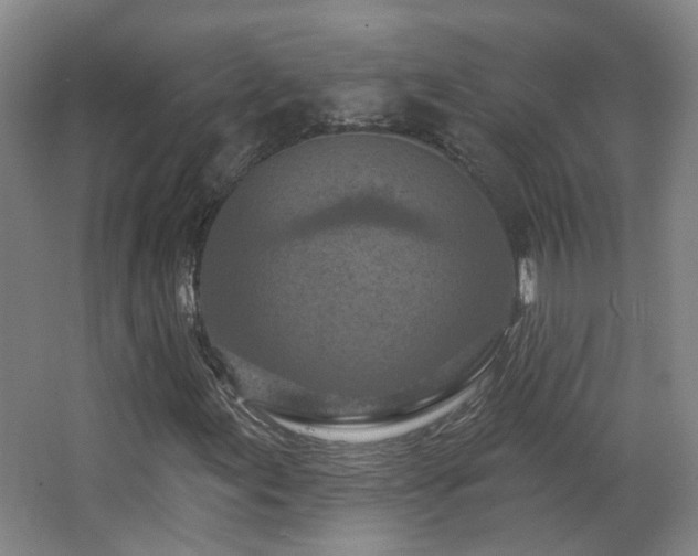X0000063481155200601201236