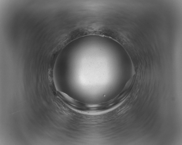 X0000063481156200601201236