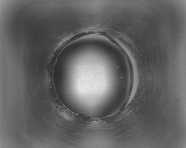 X0000063481160200601201236