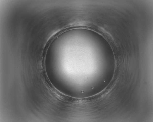 X0000063481166200601201236