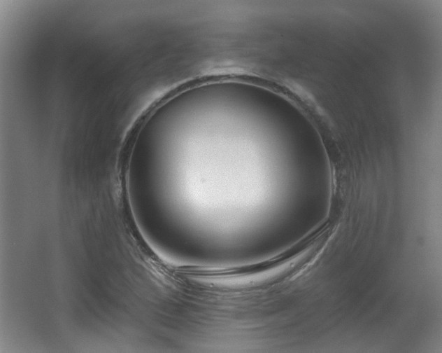 X0000063481167200601201236