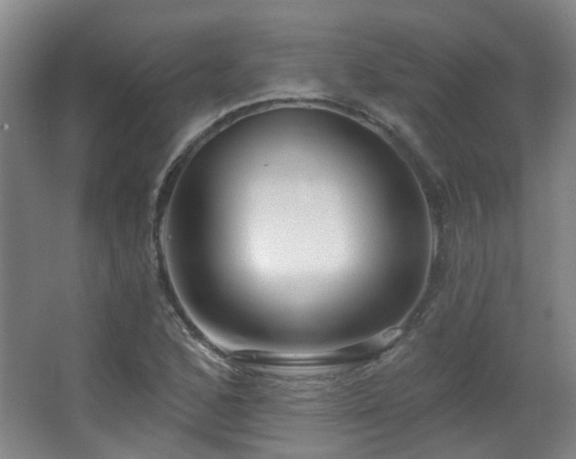 X0000063481168200601201236