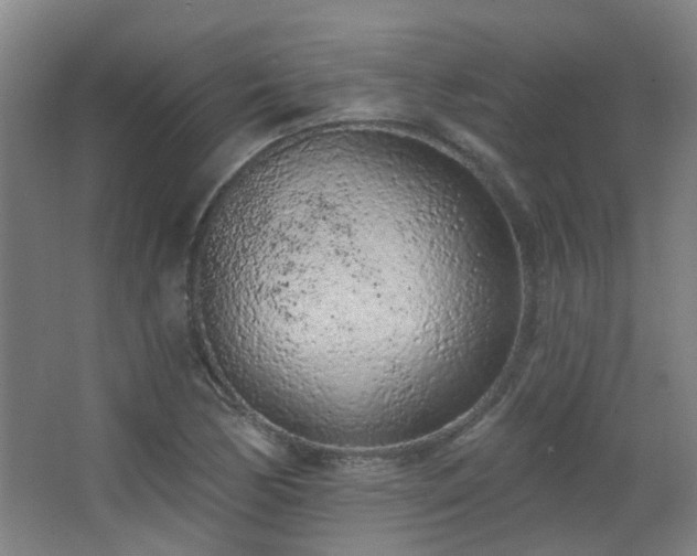 X0000063481170200601201236