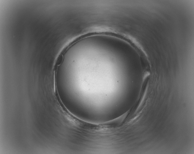 X0000063481175200601201235