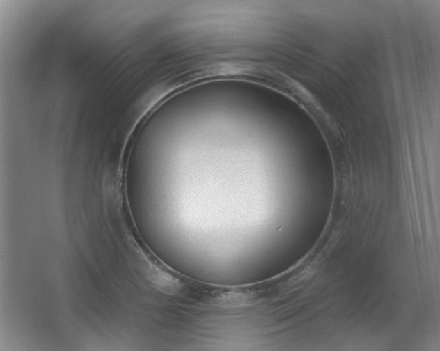 X0000063481178200601201235