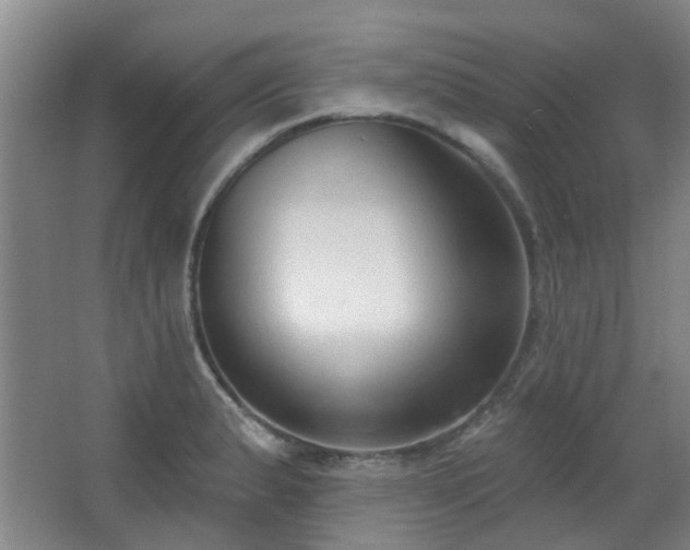 X0000063481183200601201235