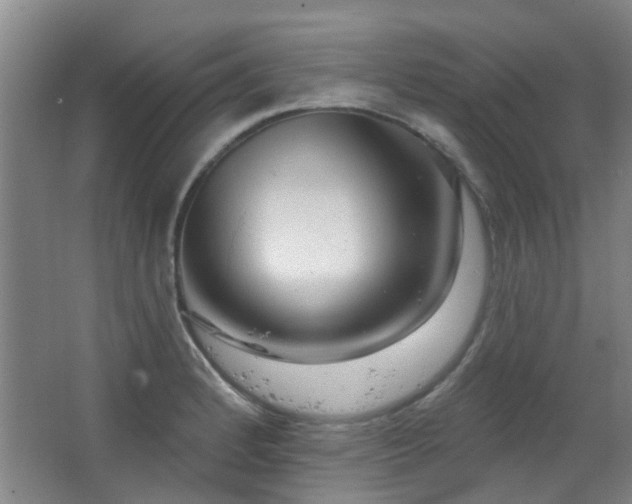 X0000063481184200601201235