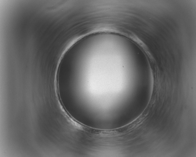 X0000063481199200601201235