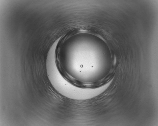 X0000063481202200601201234