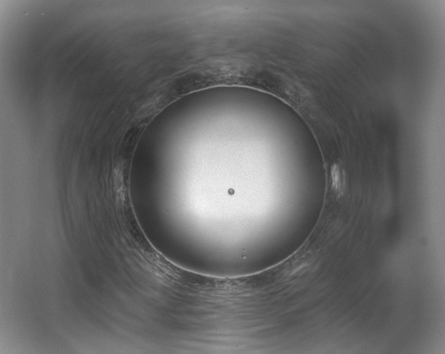 X0000063481203200601201234