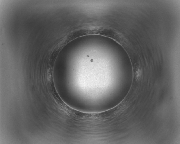 X0000063481204200601201234