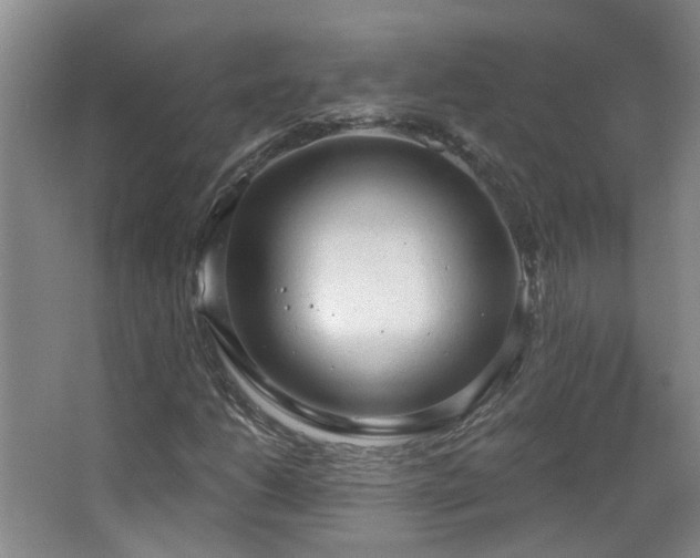 X0000063481206200601201234