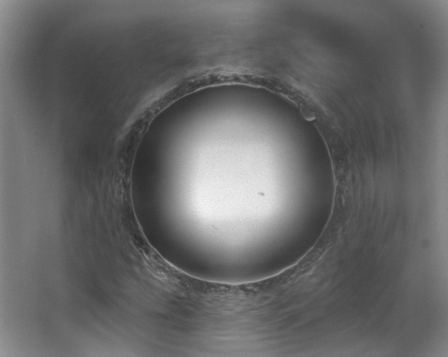 X0000063481207200601201234
