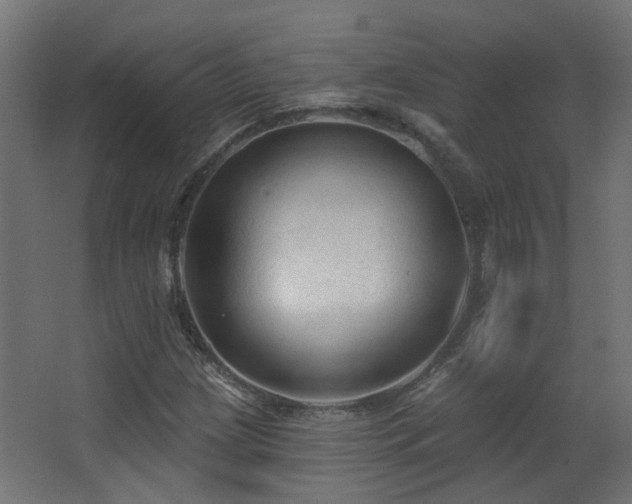 X0000063481209200601201234