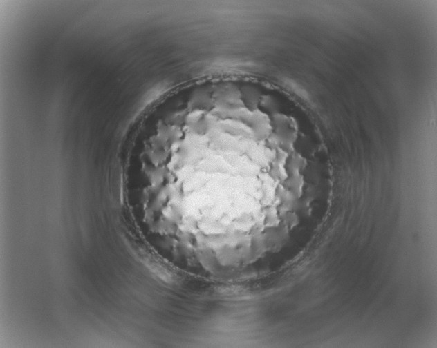 X0000063481219200601201235