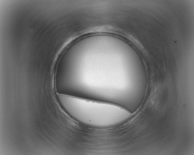 X0000063481224200601201235