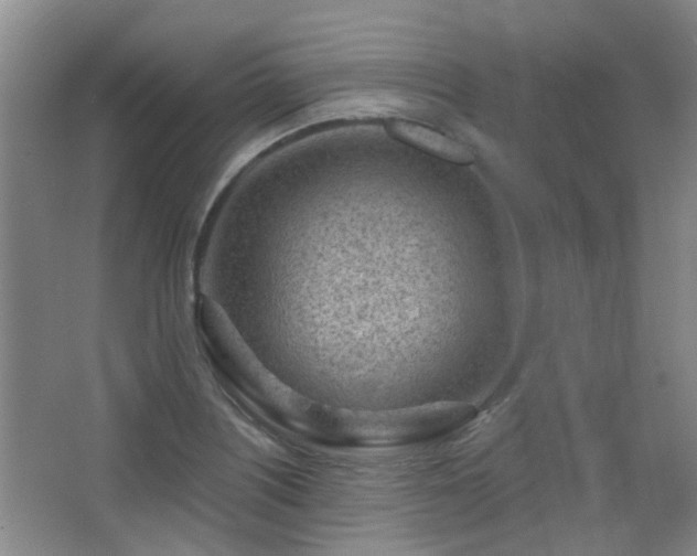 X0000063481226200601201235