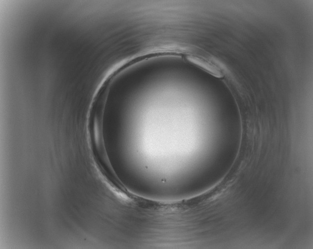 X0000063481230200601201235