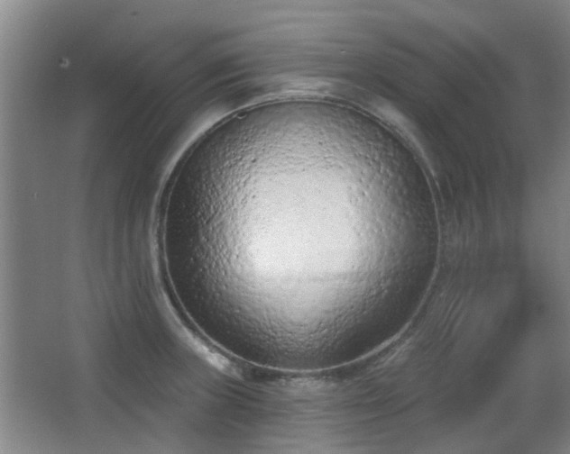 X0000063481235200601201235