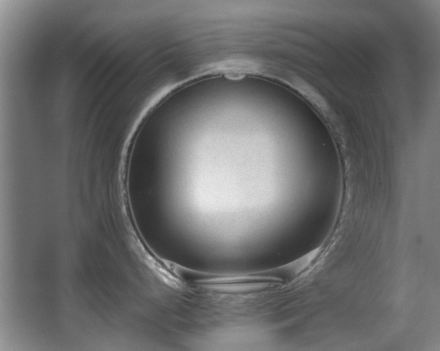 X0000063481248200601201235