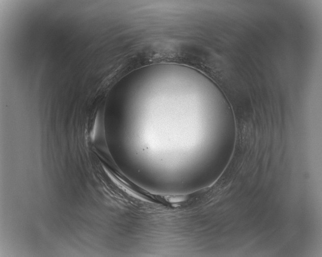 X0000063481250200601201234