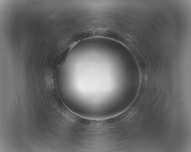 X0000063481252200601201234