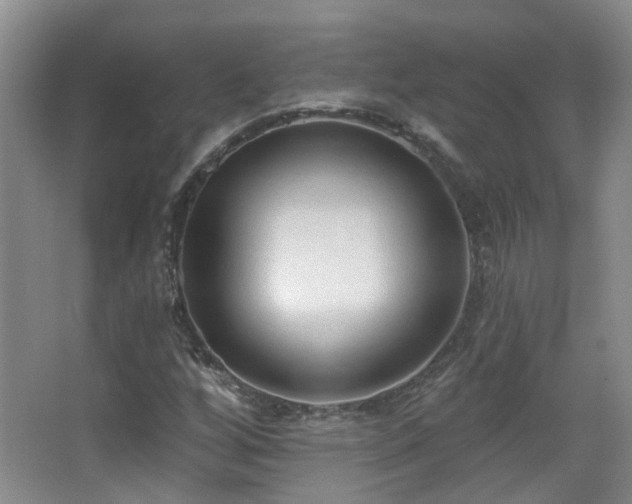 X0000063481256200601201234