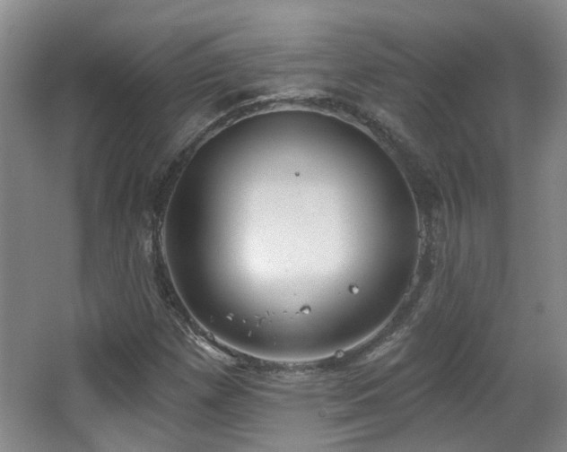 X0000063481257200601201234