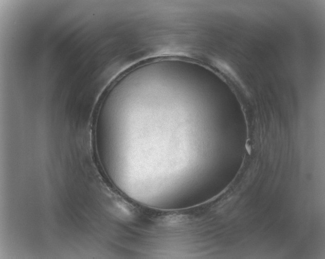 X0000063481268200601201234