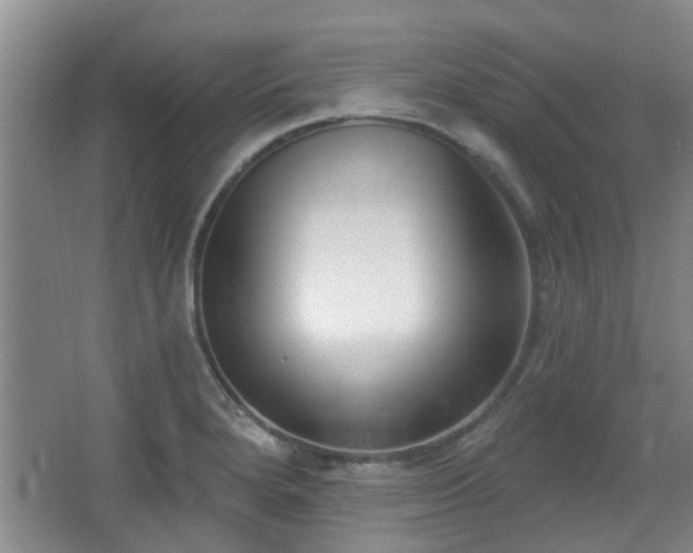 X0000063481280200601201234