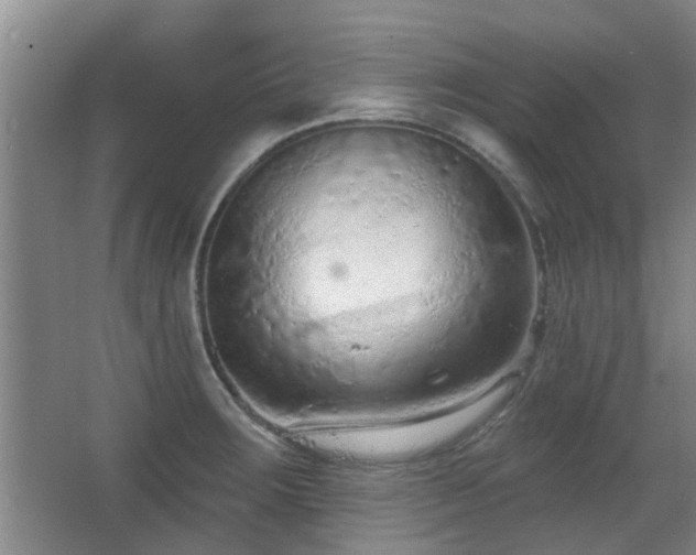 X0000063481283200601201234