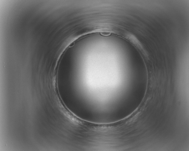 X0000063481284200601201234