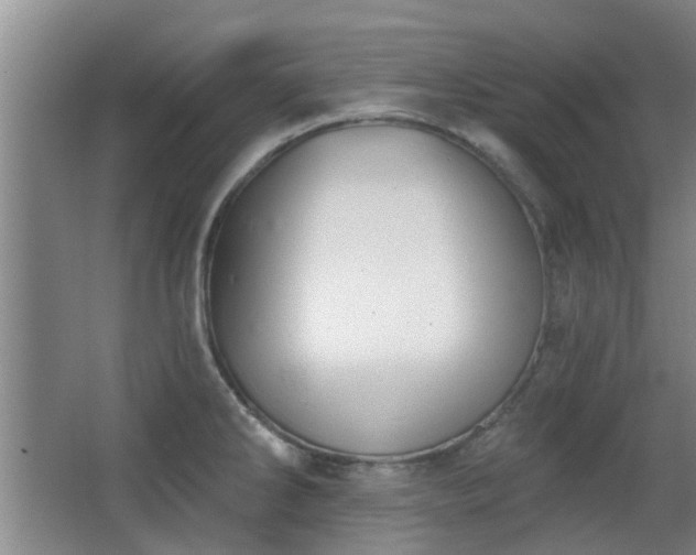 X0000063481286200601201234