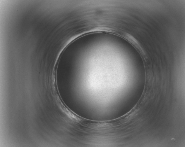 X0000063481292200601201233