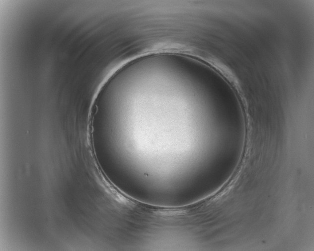 X0000063481296200601201233