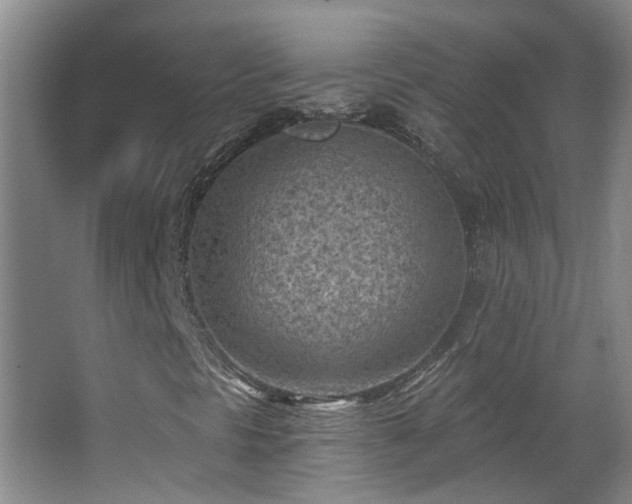 X0000063481297200601201233