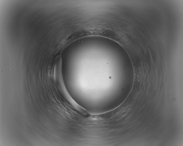 X0000063481298200601201233