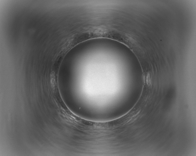 X0000063481299200601201233