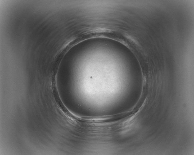 X0000063481305200601201233