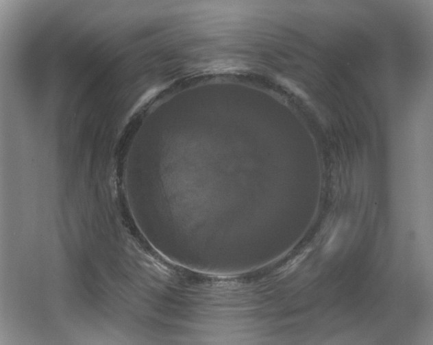 X0000063481306200601201233