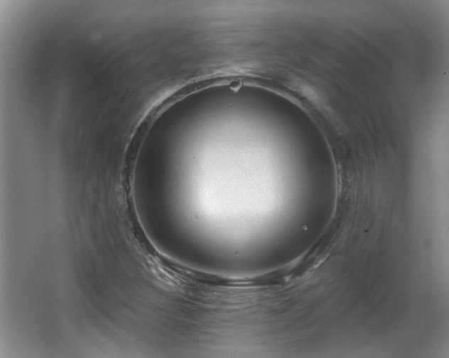 X0000063481308200601201233