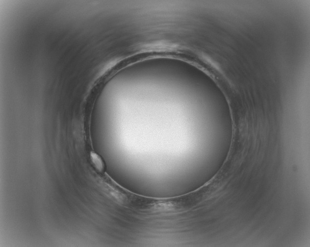 X0000063481315200601201233