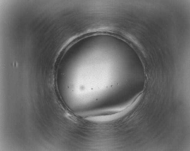 X0000063481316200601201233