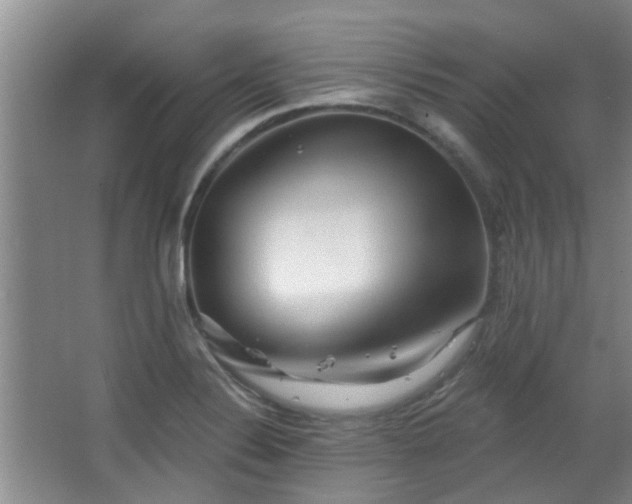 X0000063481324200601201233
