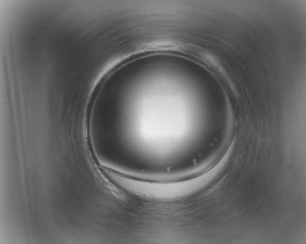 X0000063481328200601201233