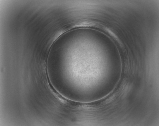 X0000063481329200601201233