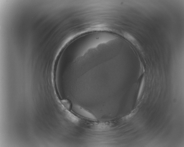 X0000063481334200601201233