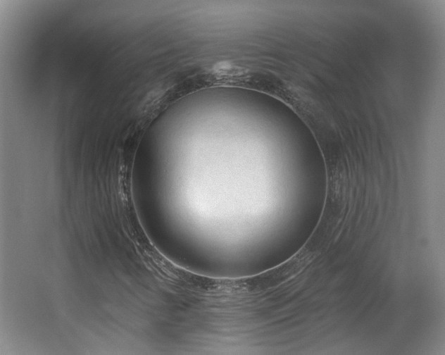 X0000063481346200601201233